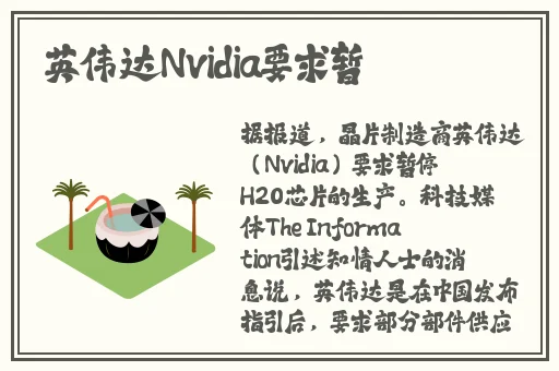 滚筒肉无删减无广告免费观看